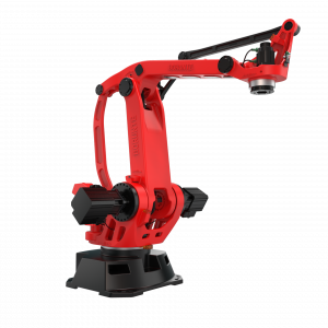 BRTIRPZ3030B 4 оси, 300кг, 2950мм